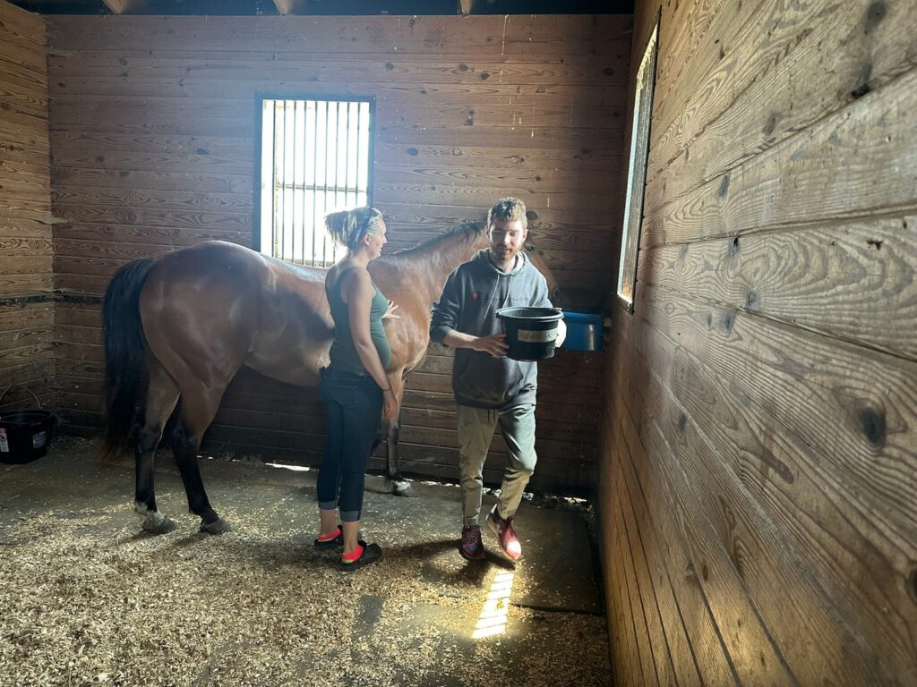 Feeding Time at Breezy Lawn Farms - Equestrian Therapy