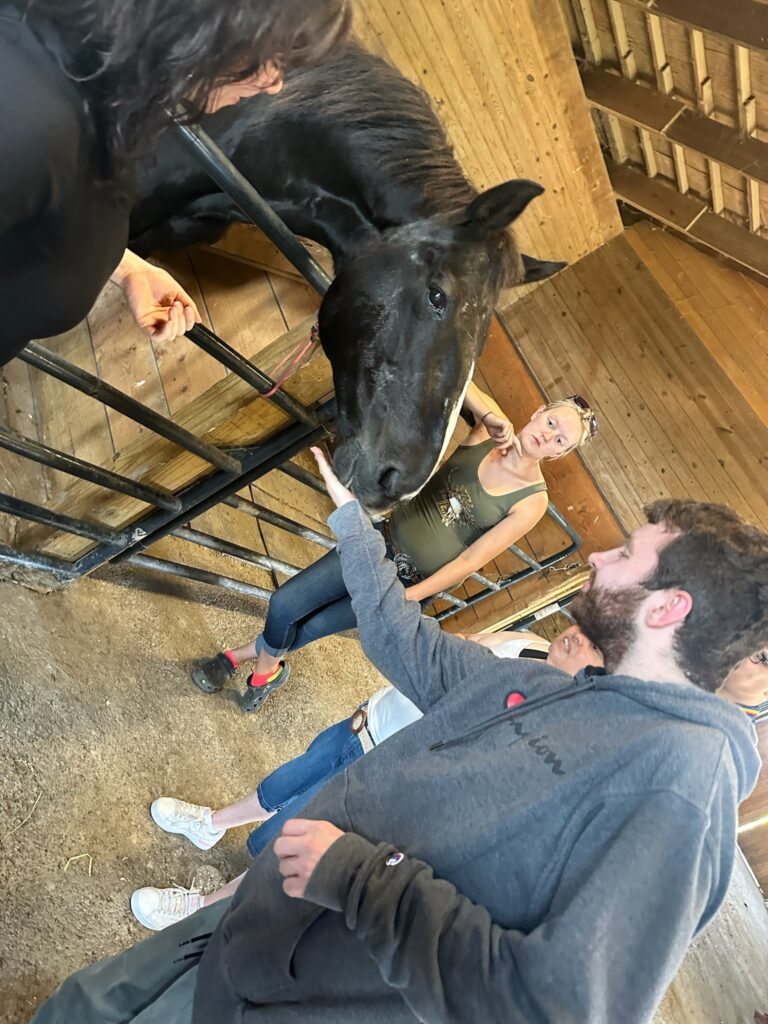 Catskill Day Hab Participants giving Treats to Horses at Breezy Lawn Farms